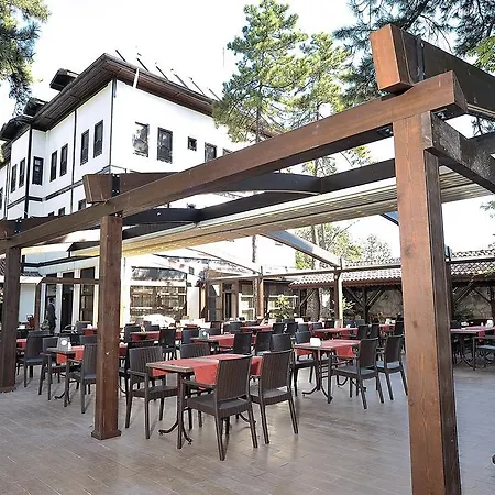 Celikpalas Hotel 2*